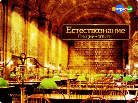 ИСТОРИЯ РОССИИ 69 ЛЕКЦИЙ С ТЕЛЕКАНАЛА БИБИГОН СКАЧАТЬ БЕСПЛАТНО ИСТОРИЯ РОССИИ 69 ЛЕКЦИЙ С ТЕЛЕКАНАЛА БИБИГОН СКАЧАТЬ БЕСПЛАТНО