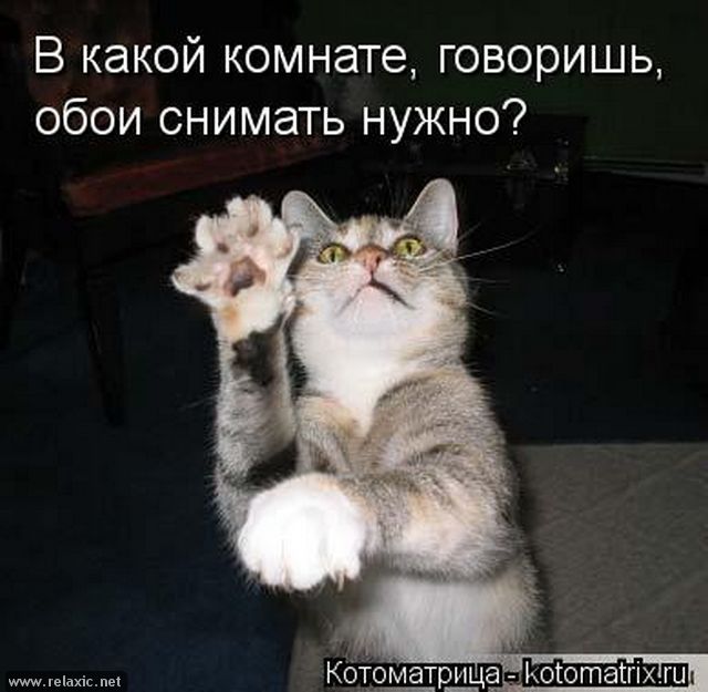 Открытки, я не пойду в школу картинки с надписями