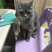 Аня Сергеевна Давыдова