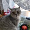 Ксения Олеговна Каштанова