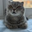 Ульяна Ивановна Ивашкова