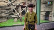 Несколько фактов о животных