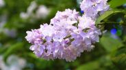 Навигатор. Новости. Выпуск 835