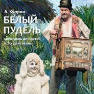 Белый пудель