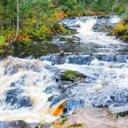«Лучшее в Карелии: водопады, лес, уха и музей в скале» тур 1 день