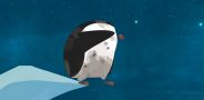 Немытый пингвин
