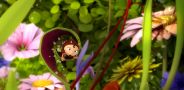 Новые приключения пчёлки Майи
