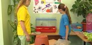 Жизнь замечательных зверей. Выпуск 9