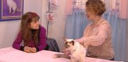 Жизнь замечательных зверей. Выпуск 70