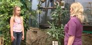Жизнь замечательных зверей. Выпуск 71