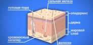 В гостях у Витаминки. Выпуск 37. Для чего нужно мыться?