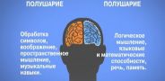 В гостях у Витаминки. Выпуск 83. Учиться на отлично!