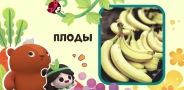 Эмми и Гуру. Уроки природы