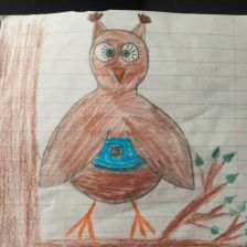 Сова 🦉- Соня