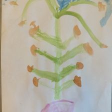 Ника Сафонова