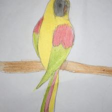 id1137823