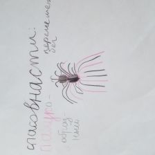 Асият Манафовна Голаева