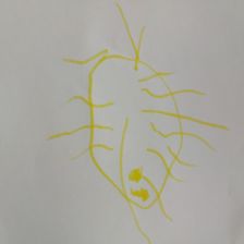 Тимофей Беляев