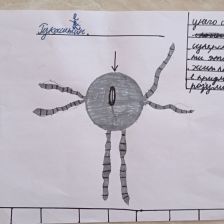 Никита Андреевич Шевага