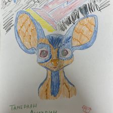 Тамерлан Рустамович Акчурин