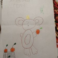 Дарья Анатольевна Черныш