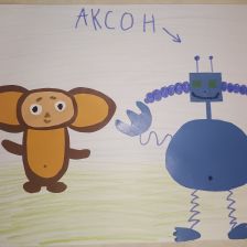 Ксения Алексеевна Токарева