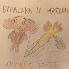 Айза Интигам кызы Маммадова