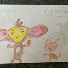 Эмилия Широковских