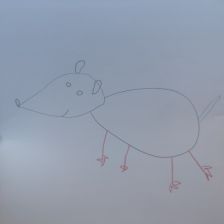 Вероника Романовна Верховодко