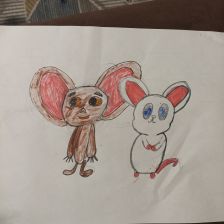 Артём Лохов