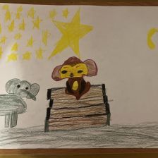 Алиса Вячеславовна Друненкова