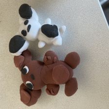 Арина Евгеньевна Дорохова