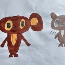 Анастасия Александровна Жилкина