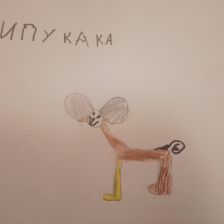 Артём Владимирович Маркова