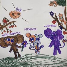 София Евгеньевна Шейбсак