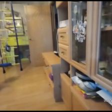 Анна Варлачёва в конкурсе «Танцуй по-своему!»