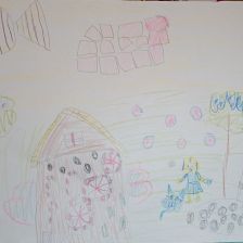 Дарья Александровна Шекера