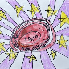 Габриэлла Волынская