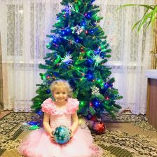 Луценко Романовна Лилия в конкурсе «Конкурс новогодних ёлок»