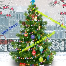 Матвей Сергеевич Муравьёв в конкурсе «Волшебная ёлка»