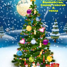 Елизавета Романовна Селеверстова в конкурсе «Волшебная ёлка»