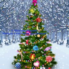 Елизавета Балабошина