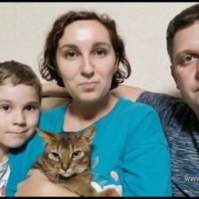 Семья Воробьевых