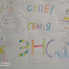 Семья Энс