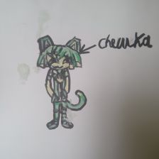 Василиса Шестенок