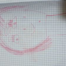 Ксения Владимировна Недайводина