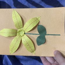 Злата Валентиновна Носова