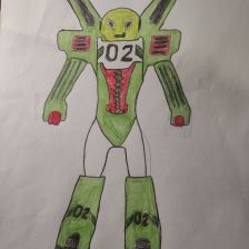 Юлия Владиславовна Дрыга