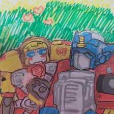 Анастасия Васильевна Янченко в конкурсе «Геомека»