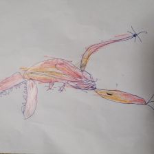 Сергей Дмитриевич Цацу